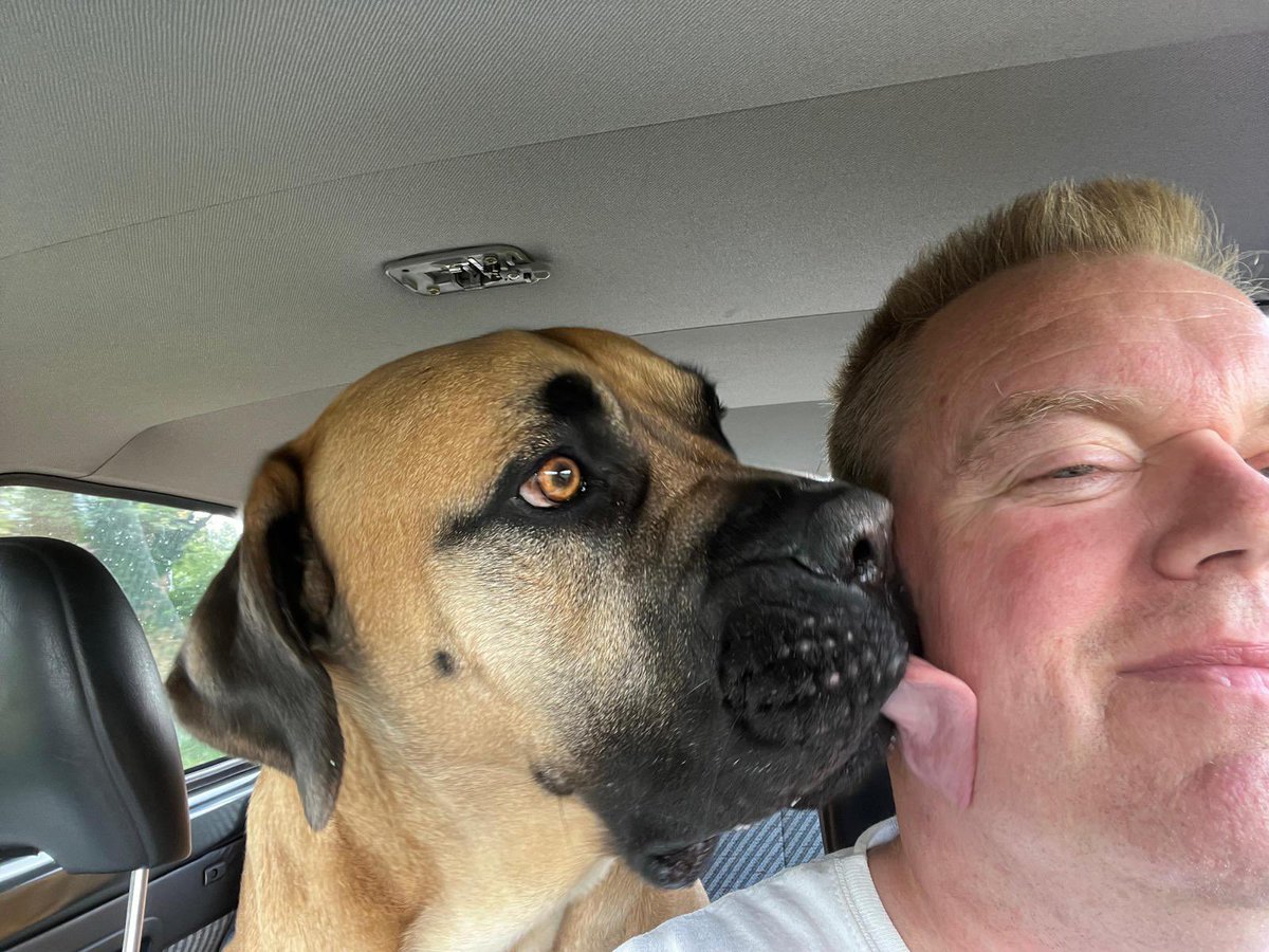 Moos, Pacho & Herman tweet media