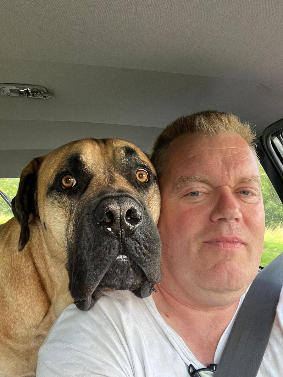 Moos, Pacho & Herman tweet media