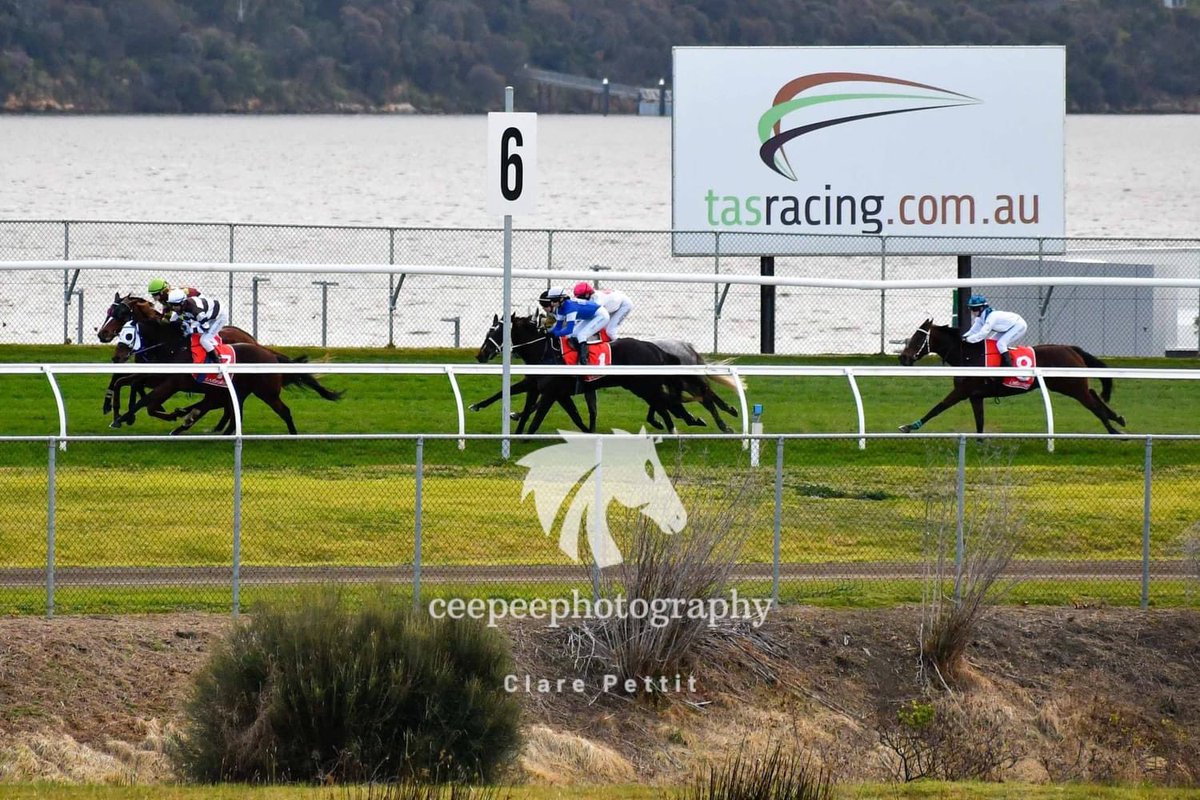 cpat13's tweet photo. A different perspective shooting at the 2400m mark on Sunday. -#RacingMatters #tasracing #TF #Tassie https://t.co/g0IH3peyvM