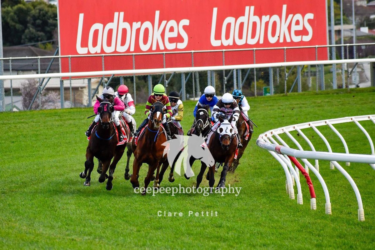 cpat13's tweet photo. A different perspective shooting at the 2400m mark on Sunday. -#RacingMatters #tasracing #TF #Tassie https://t.co/g0IH3peyvM