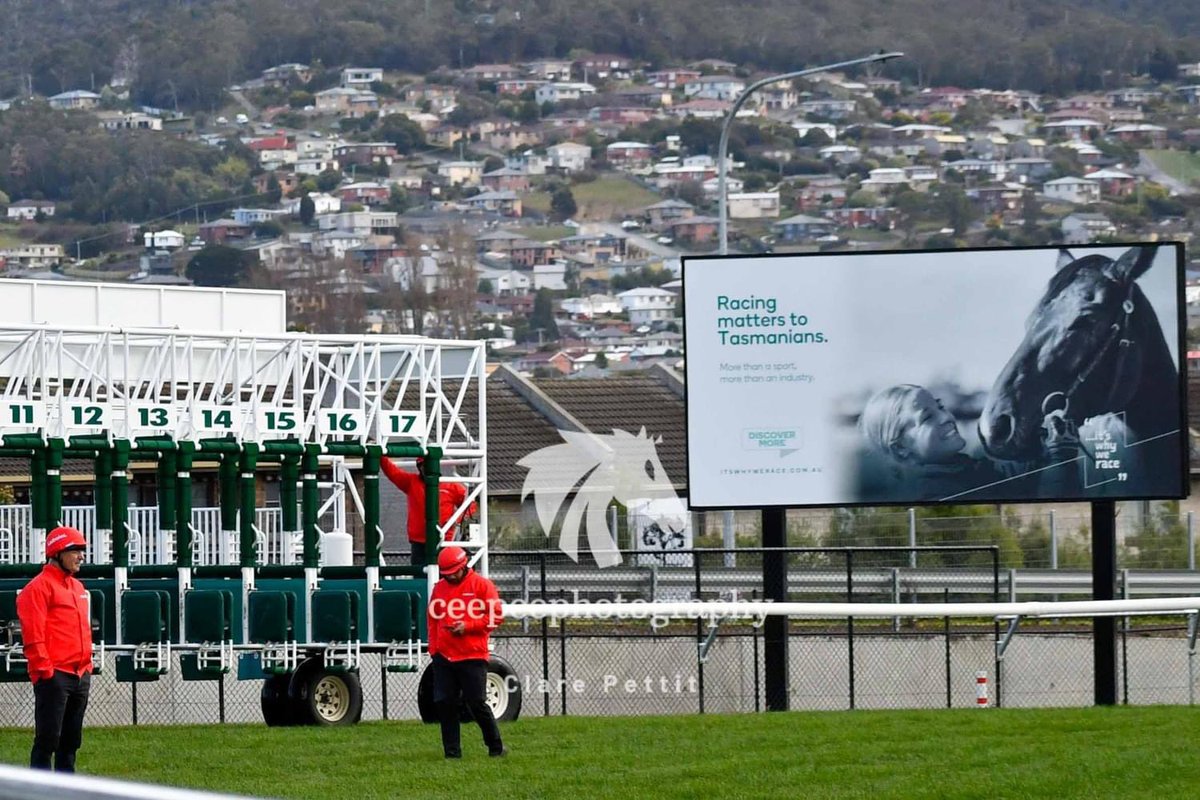 cpat13's tweet photo. A different perspective shooting at the 2400m mark on Sunday. -#RacingMatters #tasracing #TF #Tassie https://t.co/g0IH3peyvM