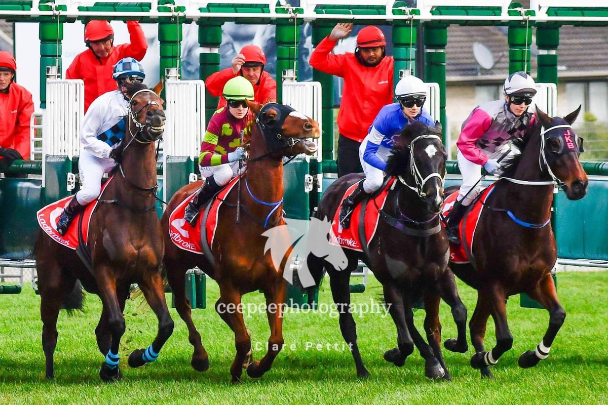 cpat13's tweet photo. A different perspective shooting at the 2400m mark on Sunday. -#RacingMatters #tasracing #TF #Tassie https://t.co/g0IH3peyvM