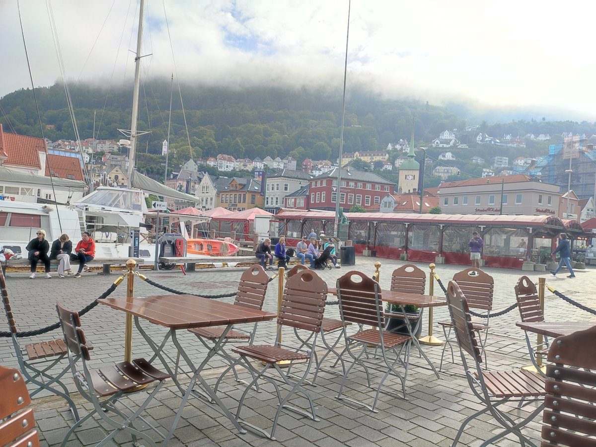 kaceykells  tweet media