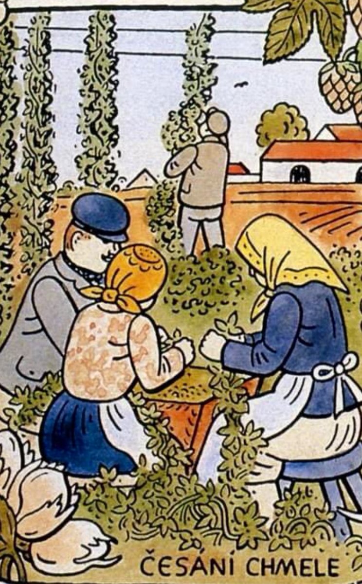 bartlebeer's tweet photo. 🇨🇿 Česání chmele 

(„Kämmen des Hopfens“/„combing“) 

🇩🇪🇦🇹🇨🇭 Hopfenlese 

🇳🇱🇧🇪 hopoogst 

🇫🇷🇧🇪 la récolte du houblon 

🇬🇧🇺🇸 hop harvest 

🇩🇰🇳🇴 humlehøst

#PivníČeština #BierTschechisch #BeerCzech 

https://t.co/MzazIoAXHw https://t.co/FfjjX3ujcY