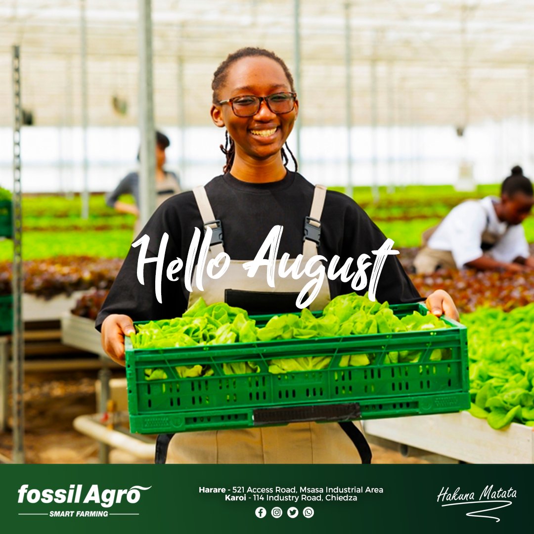 Happy New Month!!!  

#fossilagro #hakunamatata #newmonth #happyaugust