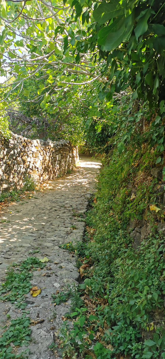 Buenos días, ya me huele a <a href="/gatanegra_fest/">gatanegra.fest</a> 😁😁😁