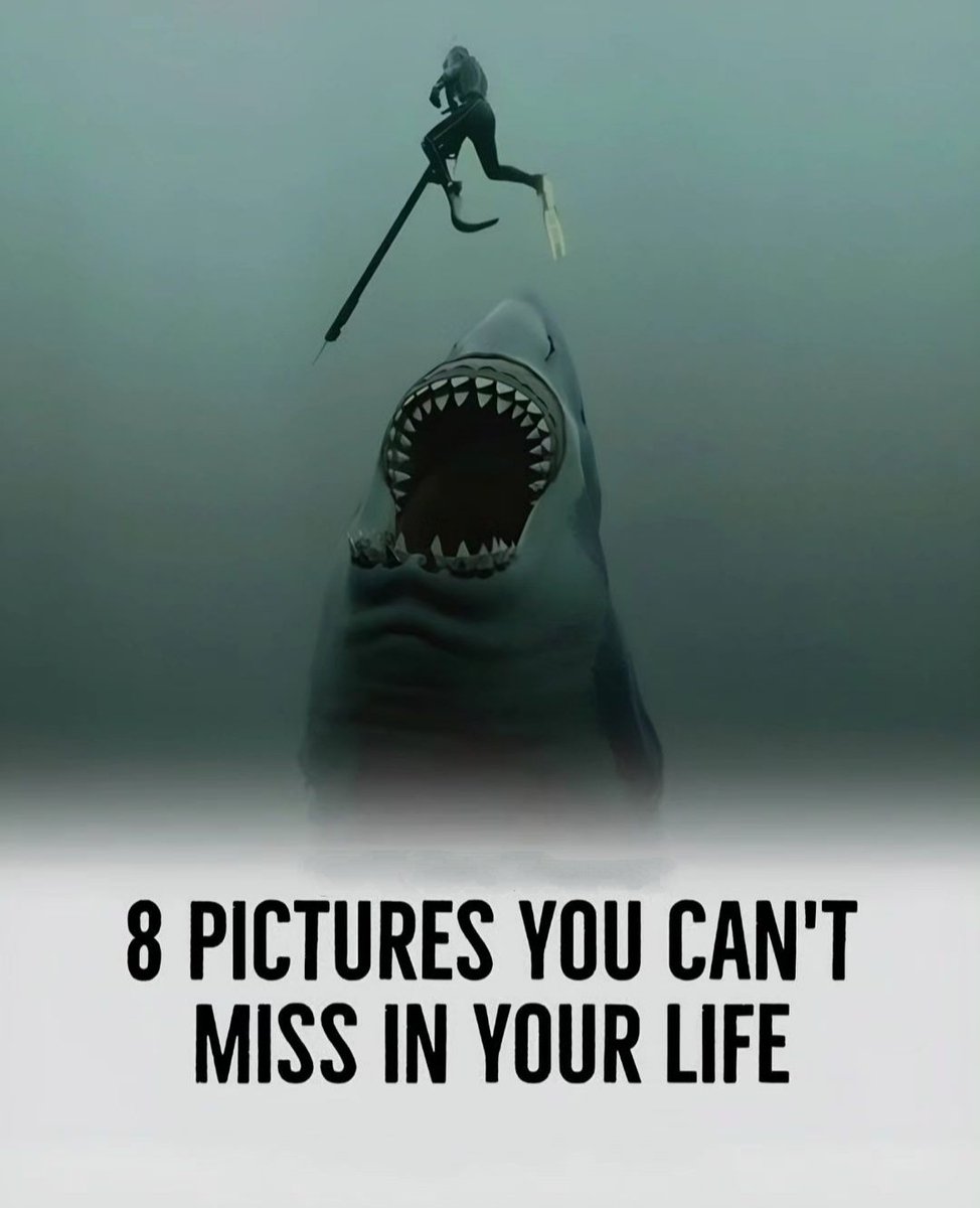 8 Pictures You Can't Miss In Your Life...
