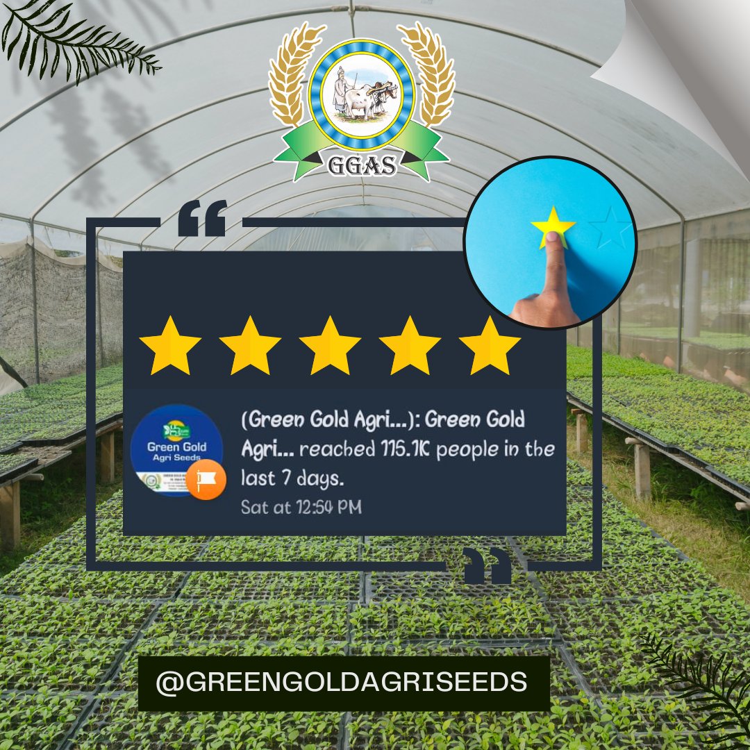 gold_agri's tweet photo. "We are immensely grateful to our incredible audience for propelling us to the milestone of 115.1K this week. Your unwavering support and active engagement have been the driving force behind our success!"
#GREEN_GOLD_IS_THE_DREAM_GOLD
#follow #followteam #follow4follows #followed https://t.co/ow1kVvUpvY