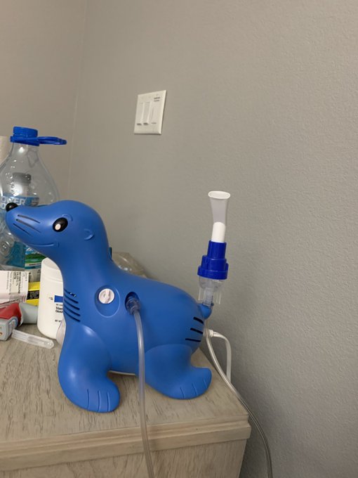 Asthma life  At least my neb is cute https://t.co/UfPHM0bRjs