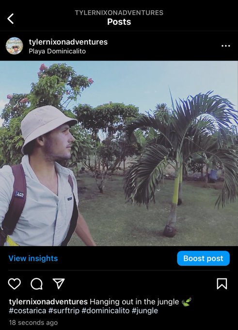 Hanging out in the jungle 🍃 #costarica #surftrip #dominicalito #jungle https://t.co/Dlekjfwdq9<a href="/tag/costarica"class="tags">#costarica</a><a href="/tag/surftrip"class="tags">#surftrip</a><a href="/tag/jungle"class="tags"><span>#jungle</span></a><a href="/tag/dominicalito"class="tags"><span>#dominicalito</span></a>