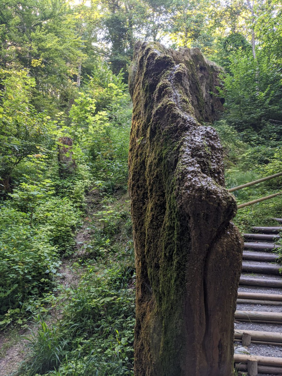 b_aichner's tweet photo. #WachsenderFelsen #Usterling #Niederbayern #Geotop https://t.co/xuTKAM9Sml