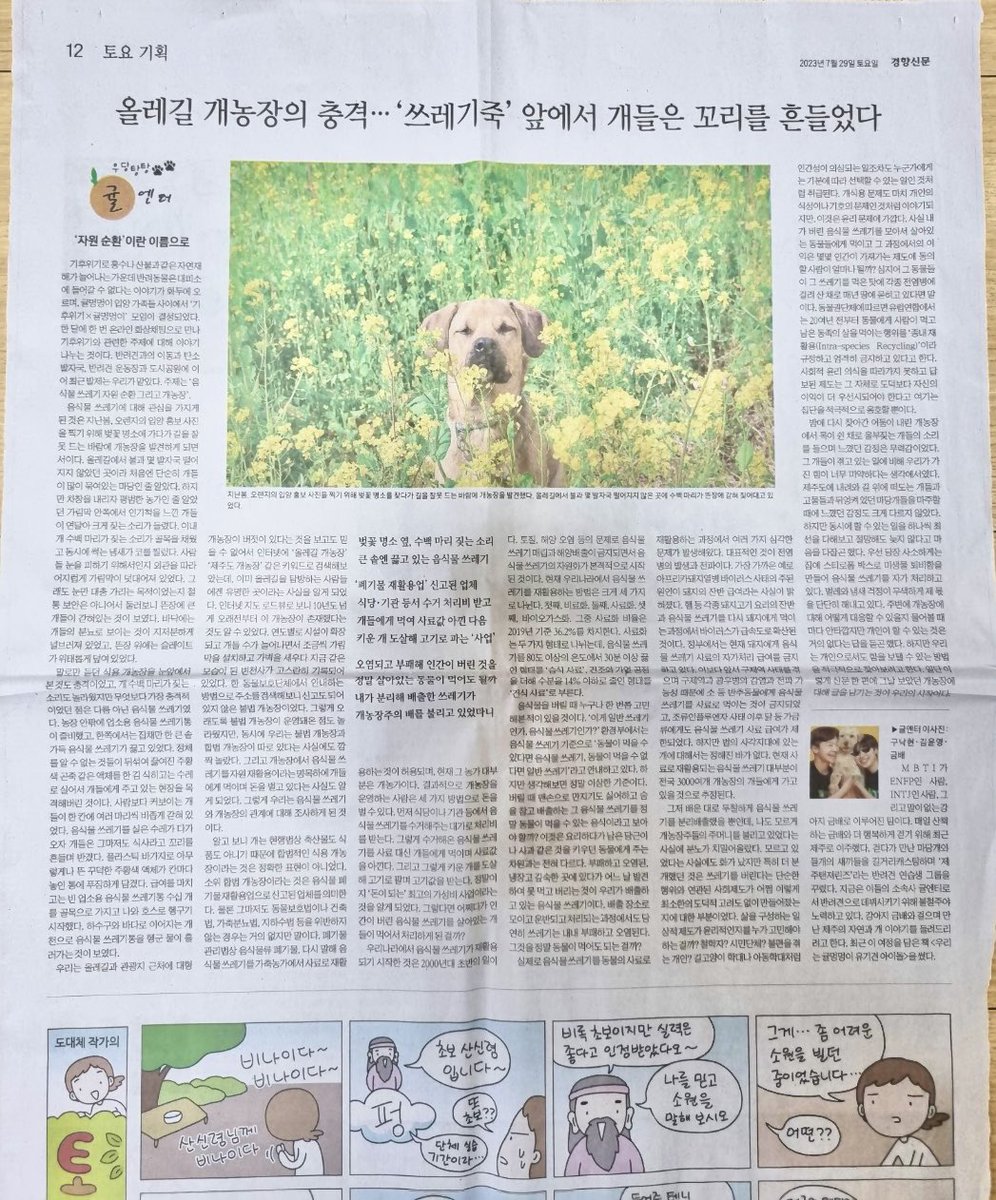 벌써 19회차가 된 #우당탕탕귤엔터 

모아보기🔗 m.khan.co.kr/series/article…