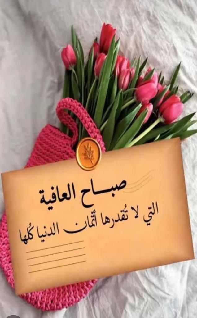 madani_ss's tweet photo. https://t.co/nbpEUsuYeV