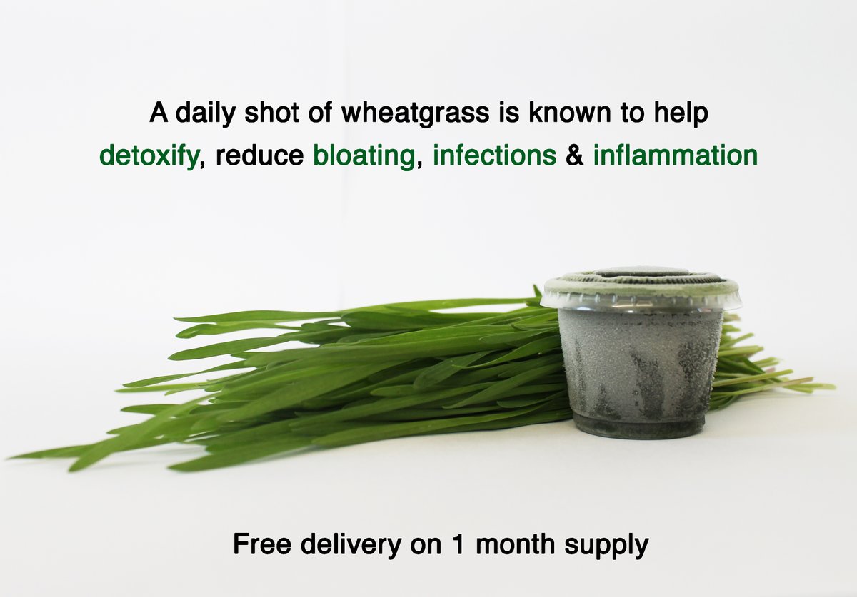 BigJuiceBar's tweet photo. Detoxify daily with a shot of #wheatgrass Help your body #detoxify , reduce #inflammation and #infections . Made easy with our frozen shots. Pure, raw, packed with goodness. One month supply #freedelivery #wheatgrassshot#chlorophyllrich #detoxify #wheatgrassjuice #reducebloating https://t.co/nL2SnaqGaw