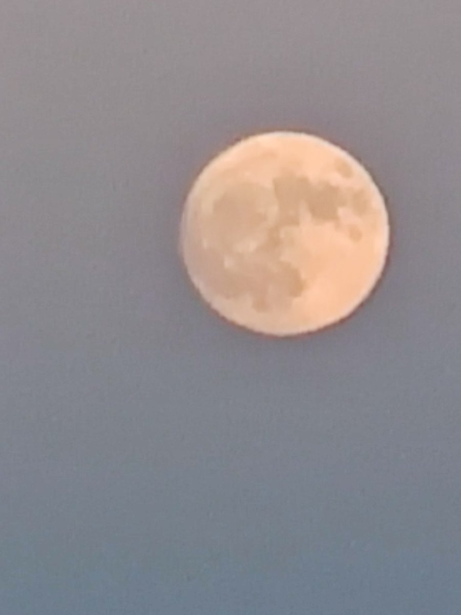 aricalaa's tweet photo. Fotos de la Luna🌙
(efectivamente, mi gata se llama Luna) https://t.co/NKIBBnFd0I