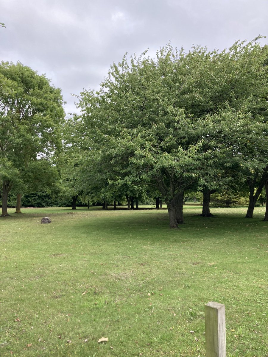 Caroline Stackhouse tweet media