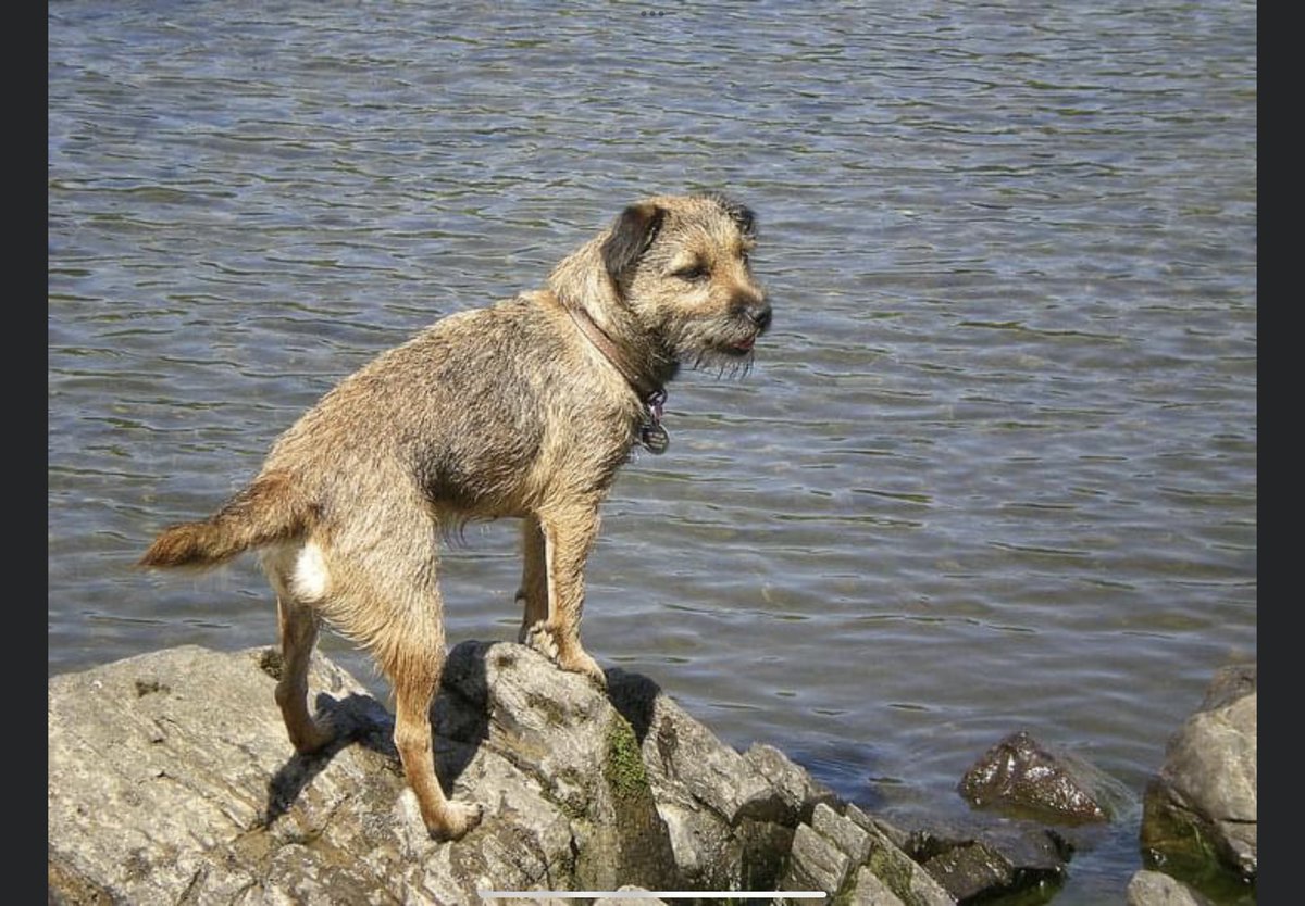 Lord Oscar Blue & Lady Ruby Red, BT Squad tweet media