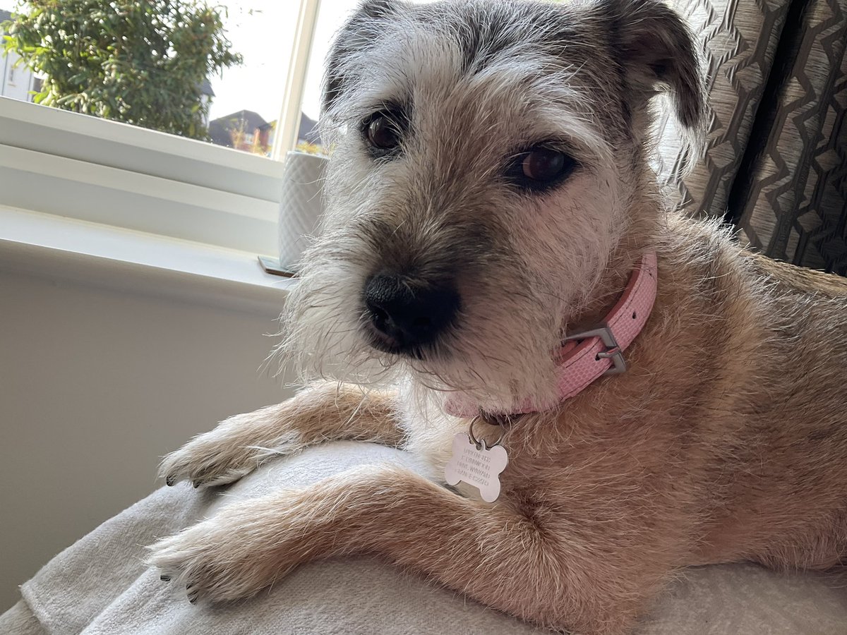 Lord Oscar Blue & Lady Ruby Red, BT Squad tweet media