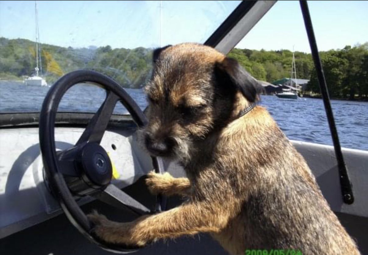 Lord Oscar Blue & Lady Ruby Red, BT Squad tweet media