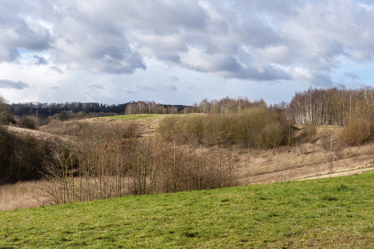 AvantHomes's tweet image. Happy Yorkshire Day! 

Join us in celebrating the history and culture of the UK’s largest county with bustling cities and stunning countryside views! 

#YorkshireDay #AvantHomes #Yorkshire