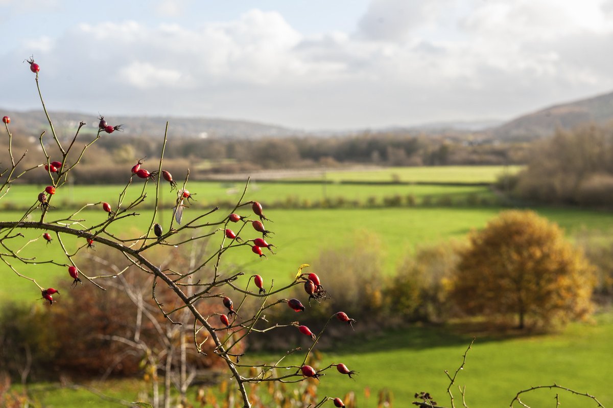 AvantHomes's tweet image. Happy Yorkshire Day! 

Join us in celebrating the history and culture of the UK’s largest county with bustling cities and stunning countryside views! 

#YorkshireDay #AvantHomes #Yorkshire