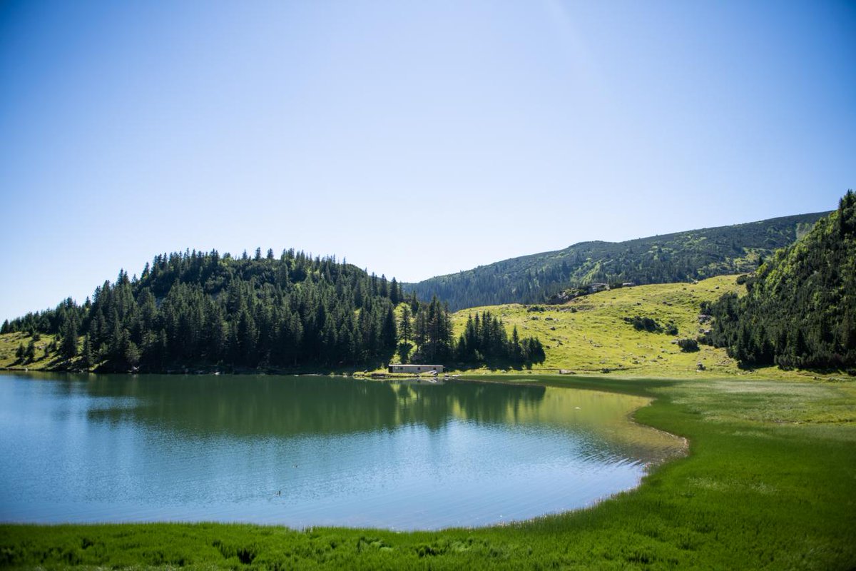 UNDPBiH's tweet photo. Prokoško Lake: A tale of disruption &amp;  hope🙌. 

Urban expansion, water issues &amp; fish stocking threaten the endemic🇧🇦 alpine mountain🦎newt. 

Restoring ⚖️ through 🐟destocking via the #SustainabilityOfProtectedAreas project funded by #GEF. 

Full story 👉https://t.co/YkIV6V5FD8 https://t.co/lpbtBSld0z