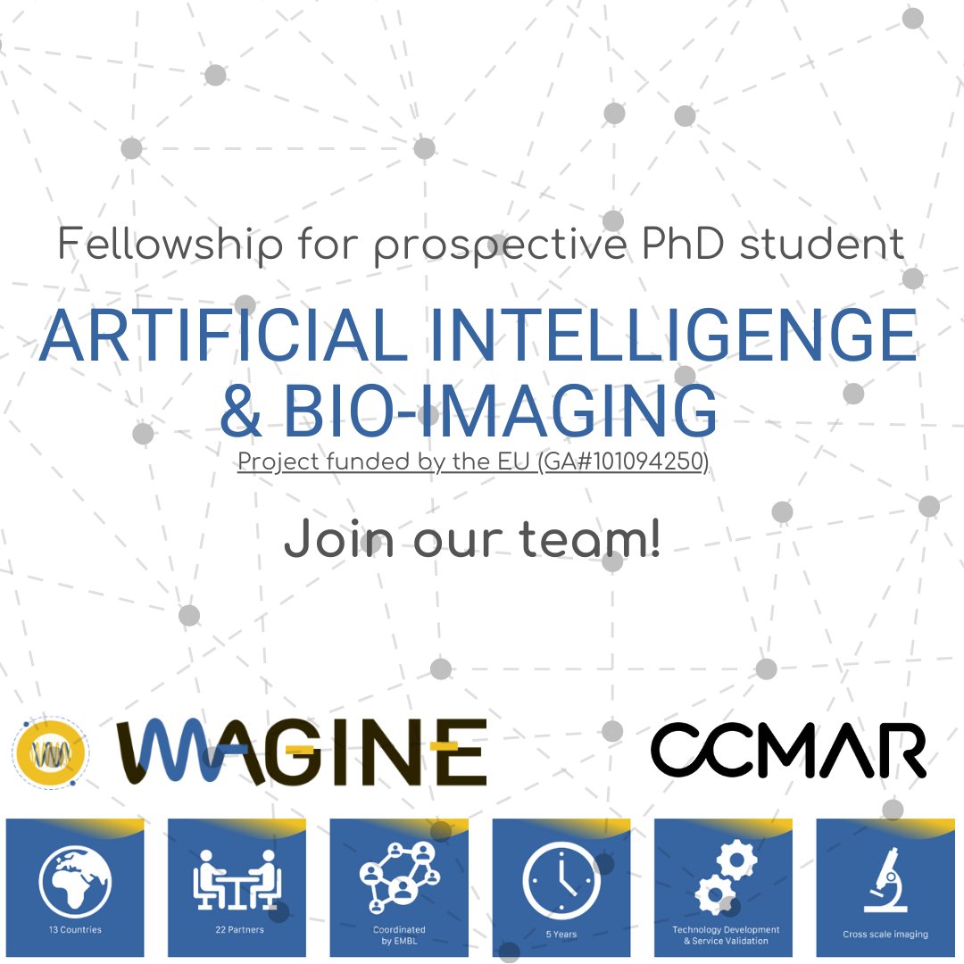 Do you like #DeepLearning, #BioImaging and sunshine? 🔬🧲👩🏻‍💻🌞 

<a href="/CienciasDoMar/">CCMAR - Centro de Ciências do Mar</a> you can have it all! We have a 🤯 project for a prospective #PhD student!

Join our team, be part of the #HorizonEU 5⃣⭐️ IMAGINE project led by <a href="/embl/">EMBL</a> and develop #AI #Python tools w/ the <a href="/ilastik_team/">ilastik Team and Anna Kreshuk's Lab</a>!