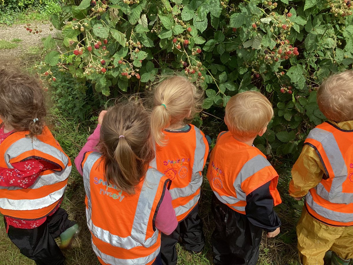 snap_forest's tweet photo. It’s that time of the year again, BLACKBERRIES. For us, it is a wonderful time to take groups of children out to master the skill of picking and have a tasty bite as we go 😋 https://t.co/7XIU7JvO1G