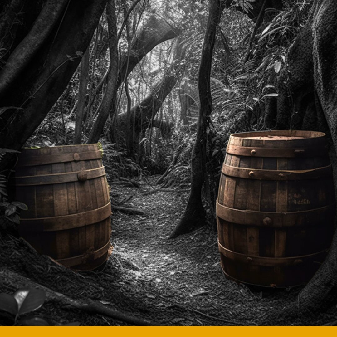 In search of the most unique barrels of Rum,
Rare Spirits will travel the world, no looking back!
We will uncover every continent, every corner, every crack.
We will try any rum, at least once.

-Sir Byron The Goat.

#Rum #Society #Tokenization #Blockchain #Web3