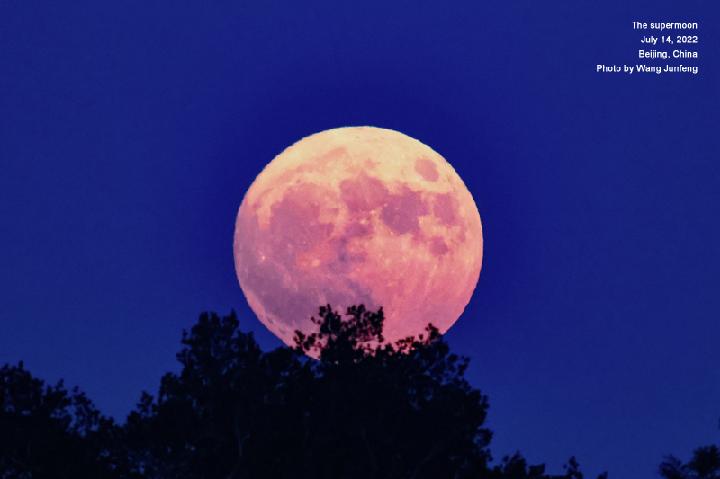 China Xinhua News tweet media