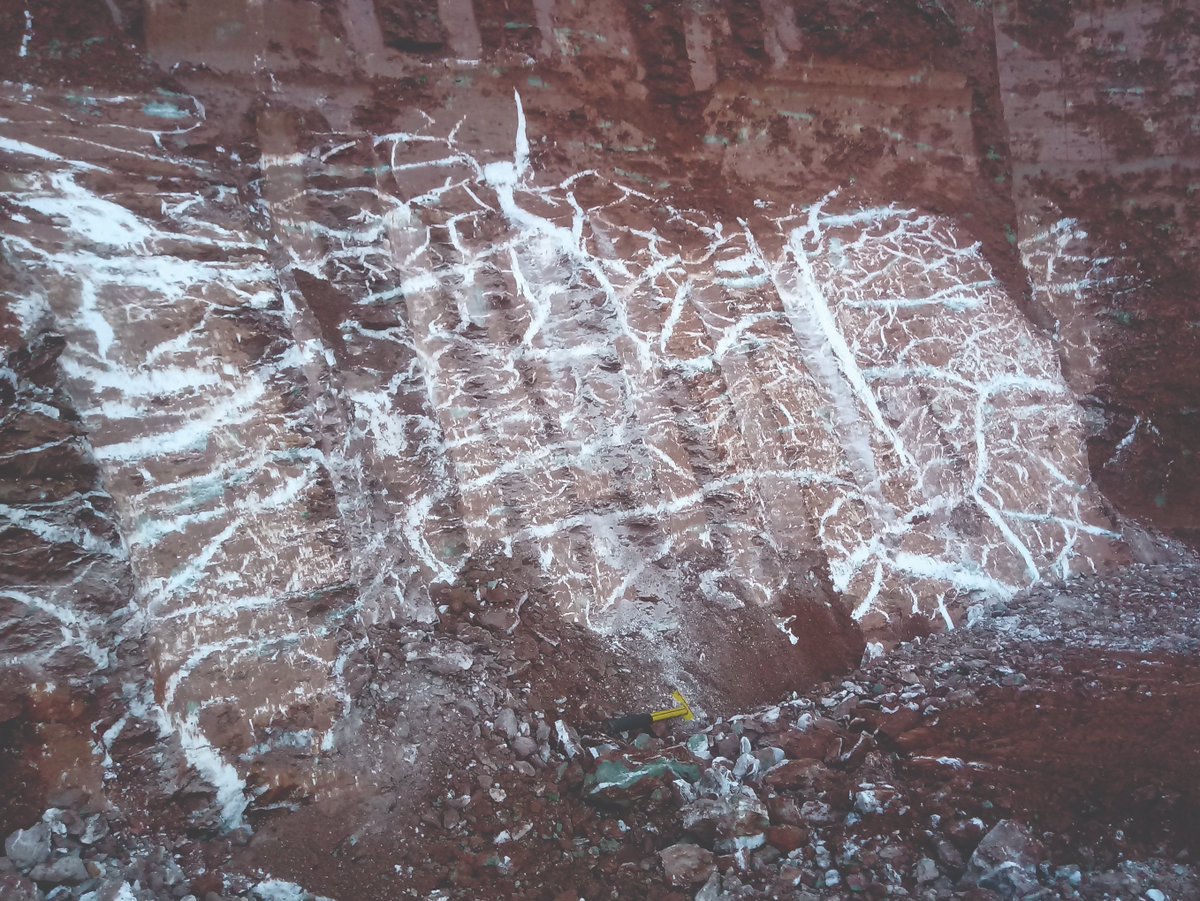 GeolAssoc's tweet image. Welcome to #August and a striking image of veins of white gypsum in Southam, Warwickshire from the Geologists' Association 2023 calendar taken by Gareth Jenkins, which was Highly Commended in the Geologists' Association 2022 Photo Competition.
