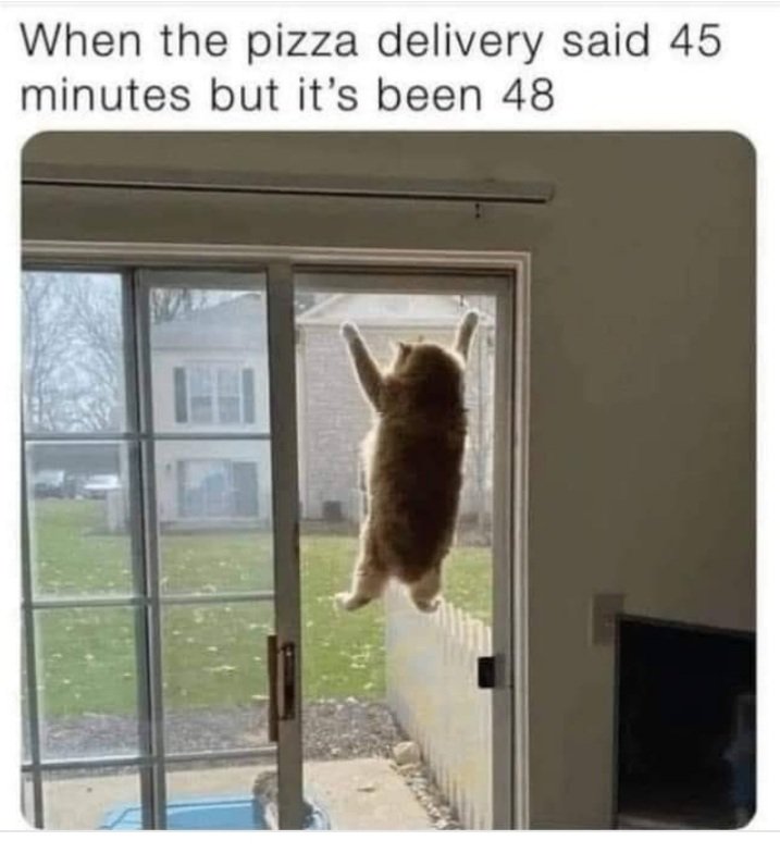 ArnieSwartzPoop's tweet image. 