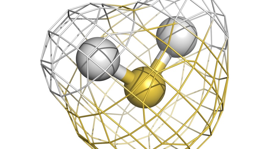University of Exeter Faculty of Health & Life Sci tweet media