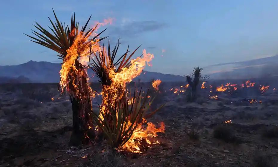 99blackbaloons's tweet image. This civilisation is succumbing to the heat of its own economic and mental burnout.  

Even the deserts are now burning 

#burnout #fires #HeatWarning #ClimateBoiling