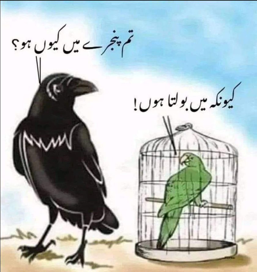 Pklovers11's tweet photo. Now a days Situation #whatsapp #PetrolDieselPrice https://t.co/7Y6BKuTxVE
