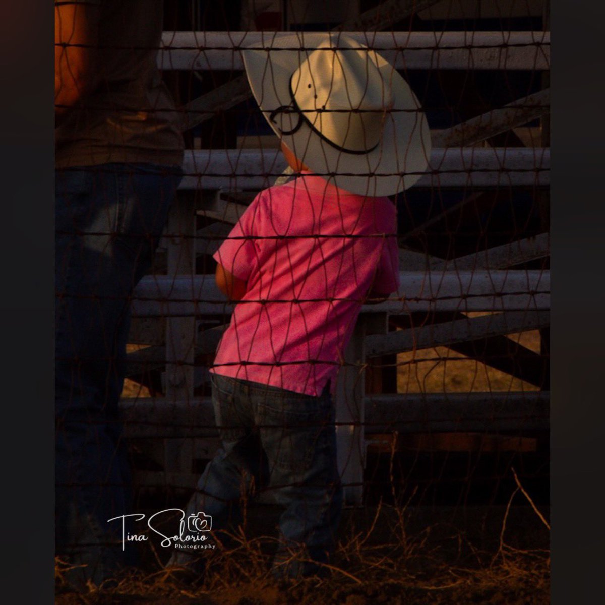 msHanane68's tweet photo. Rodeo!!!! #Rodeo #cowboy https://t.co/Edwf4gSZDw