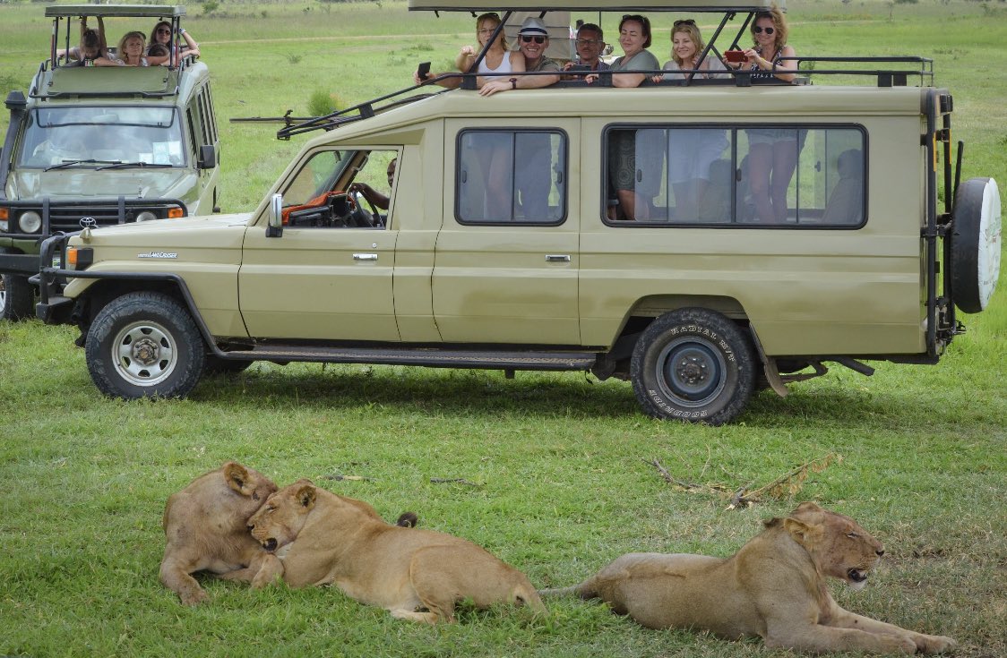 SafariGateway_'s tweet photo. Explore your Safari trip with Us.
#PoriKwaPori #VisitWithUs https://t.co/LPrFRmEYF7