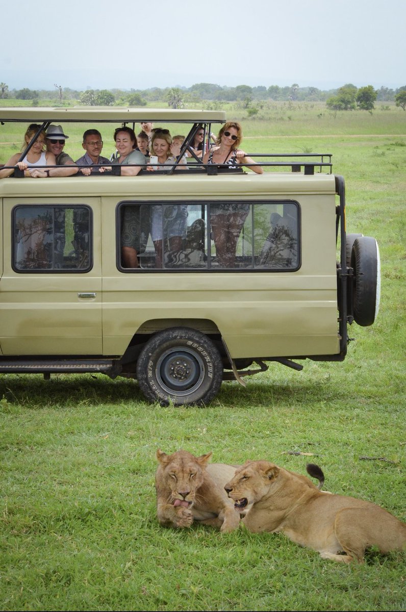 Explore your Safari trip with Us.

#PoriKwaPori #VisitWithUs