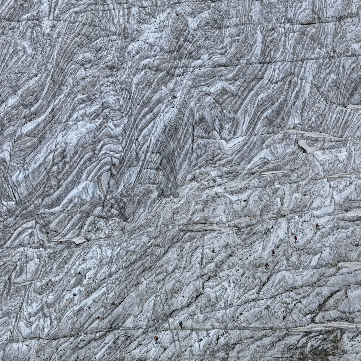EdmaierAerials's tweet photo. Intensive folding of the foliation on Gorner Glacier, #Switzerland (aerial view). Note climbers on the ice.

#glacier #glaciologist #deformation #glacial #Wallis https://t.co/UPh8qe93JT