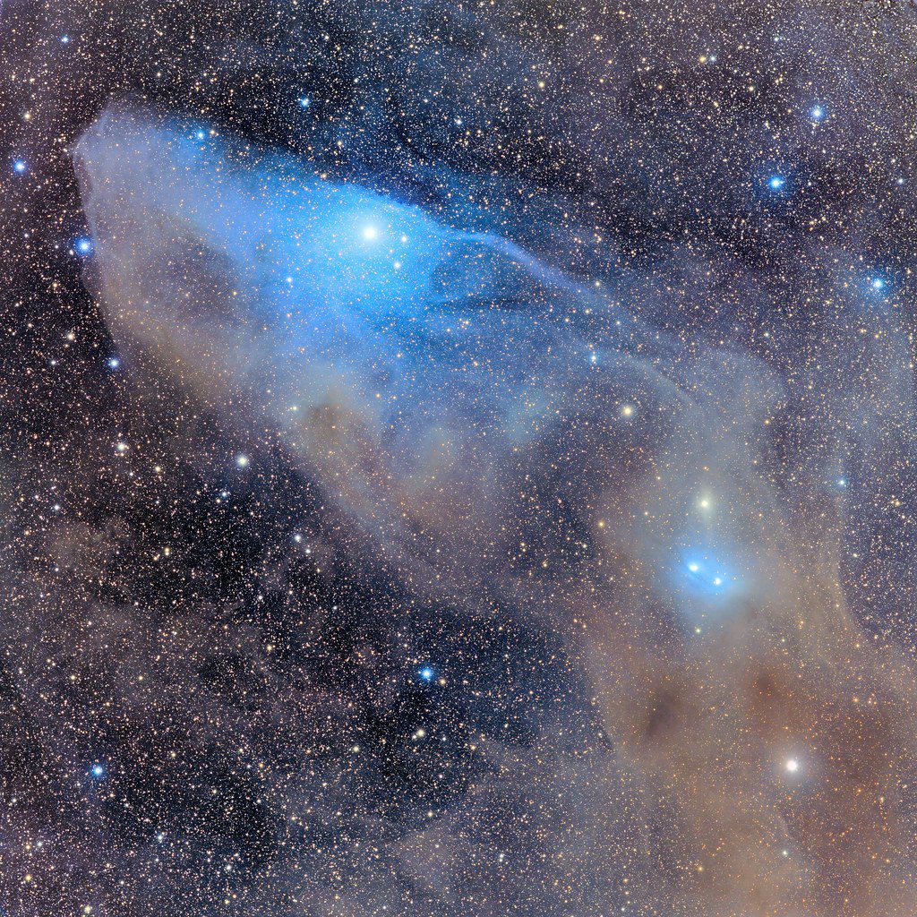 📷 IC 4592, Horse’s Face tmblr.co/ZLB4bwdj08uiCi…
