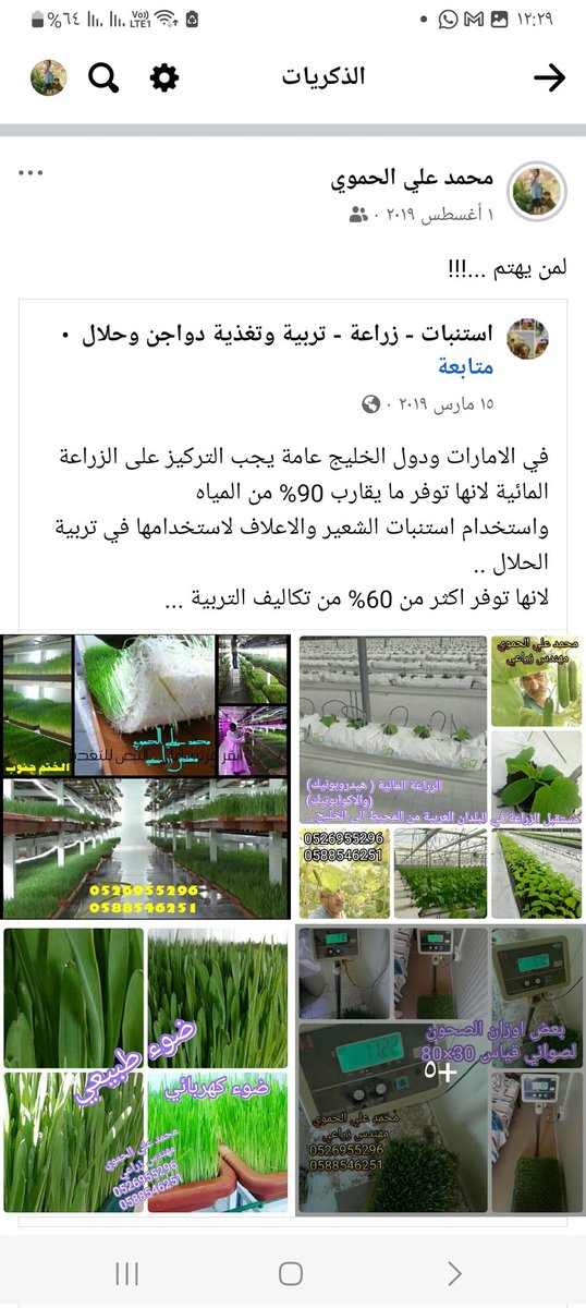 توفر الزراعة المائية 90% من مياه السقاية ..