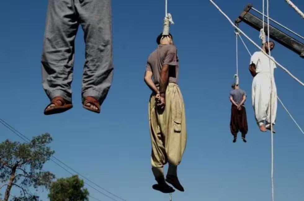MarianoGiustino's tweet photo. Almeno 61 prigionieri giustiziati nelle carceri iraniane nel luglio 2023. Prima o poi l'Occidente dovrà pur sciogliere il nodo della sua ipocrisia che gli fa chiudere un occhio davanti agli orrori che compiono regimi orrifici. Per l'#Iran è giunto da 44 anni il momento del diritto all'ingerenza umanitaria.
Durante il solo mese di luglio, almeno 61 prigionieri sono stati giustiziati nelle carceri iraniane. Nel precedente mese di giugno, erano stati 52.
Nel luglio 2023 due prigionieri politici afgani di nome #MohammadRamezRashidi e #SaeedNaeemHashemiQatali sono stati giustiziati pubblicamente a #Shiraz e quattro donne sono state giustiziate nelle carceri di #Kerman, Rajaie #Shahr, #Karaj e #Isfahan.
Oltre il 52% dei prigionieri giustiziati erano curdi, beluci e azeri-turchi.
A luglio 2023, giustiziati almeno 12 prigionieri beluci e 11 curdi, pari al 37,7% delle esecuzioni totali. Inoltre, sono stati giustiziati nove prigionieri azero-turchi, pari al 14,7% dei prigionieri.
Nell'ultimo mese, inoltre, sono stati giustiziati 4 detenuti di nazionalità afgana, pari al 6,5% del totale dei giustiziati. Di 11 detenuti, pari al 18% del totale, non sono state accertate le loro identità.
Va notato che, secondo il regime, la maggior parte dei detenuti, 31 di essi (pari al 50,8% del totale), è stata giustiziata per reati legati alla droga e 22 casi, pari al 36% del totale per omicidio. Sempre scondo il regime, le impiccagioni per ragioni politiche sarebbero solo 3 (ovviamente è falso); per omicidio: 22; per droga: 31; per stupro: 5 - Fonte, #Hengaw
#IranRevolution #IRGCterrorists #MahsaAmini 

@RadioRadicale #Iran #Turchia