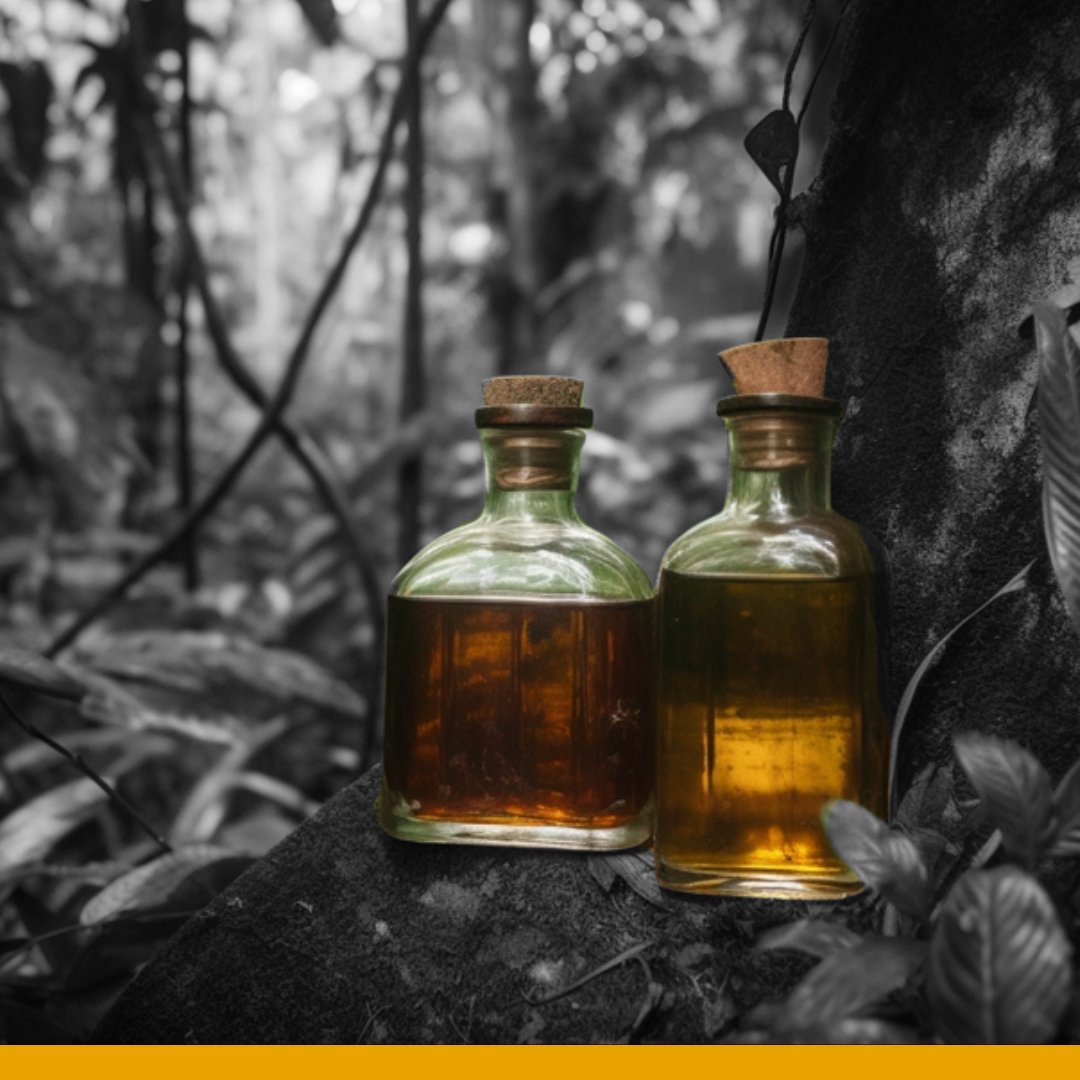"This journey from Sugarcane to Liquid Gold will change you, and it should."

-Sir Byron The Goat-
<a href="/SirByronTheGoat/">sirbyron.eth 🐐 the goat (🥃,🥃)</a> 

#Rum #Society #Tokenization #Blockchain #Web3
