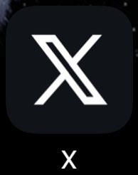 Kaitlin Schaal tweet media