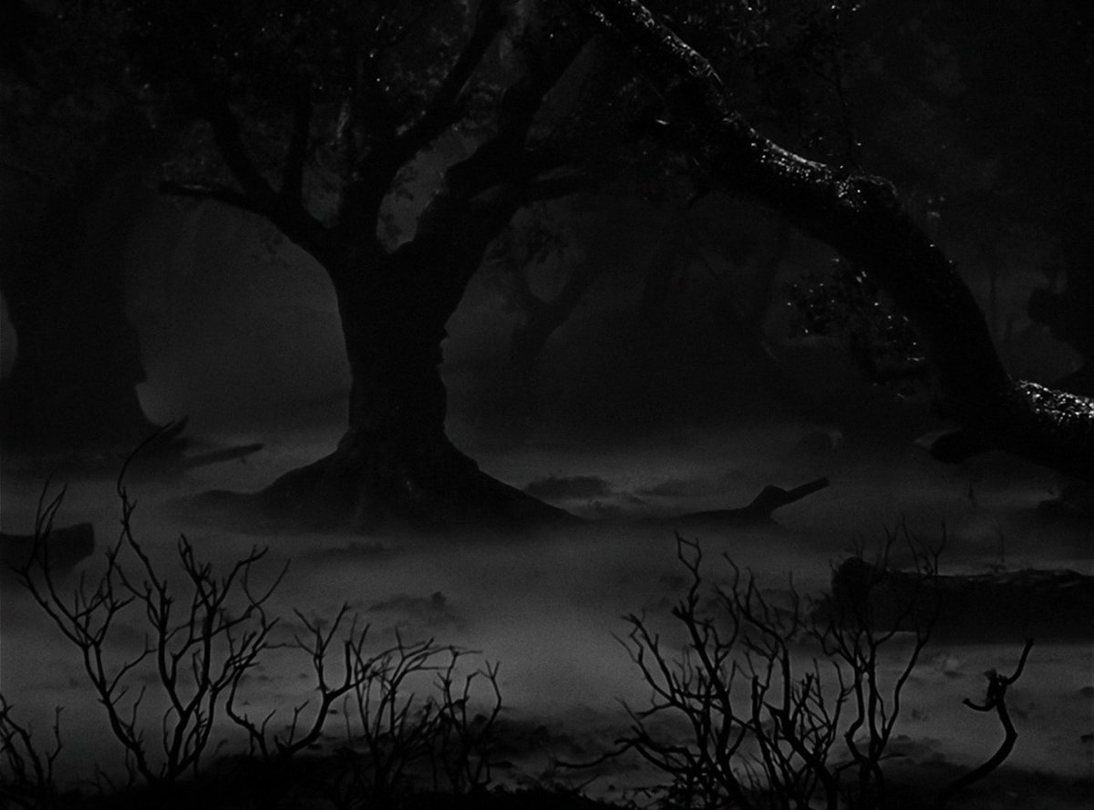 SilentDawnLB's tweet photo. Summer needs to end 🎃 https://t.co/KB2pQexHVS