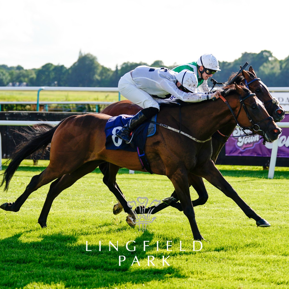 LingfieldPark's tweet photo. RACE 1 RESULT – Racing League On Sky Sports Racing Handicap
🥇 Goose Rock
Jockey: @Mitchelljack77
Trainer: J Ryan
📷:
Megan Coggin
#LingfieldPark | #LINEVR https://t.co/Dh48YkSZqi
