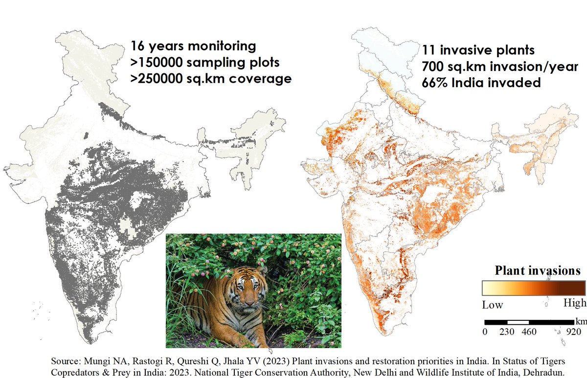 Neeraj Mahar tweet media