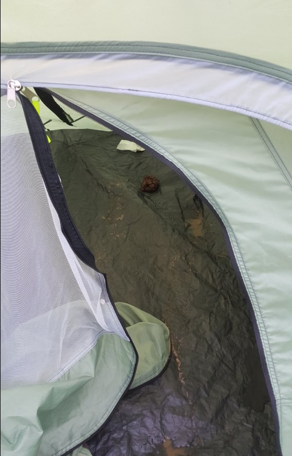 Sondel Malfoy (Viechmensch)🌳🪙🗡️🌾🔍 tweet media