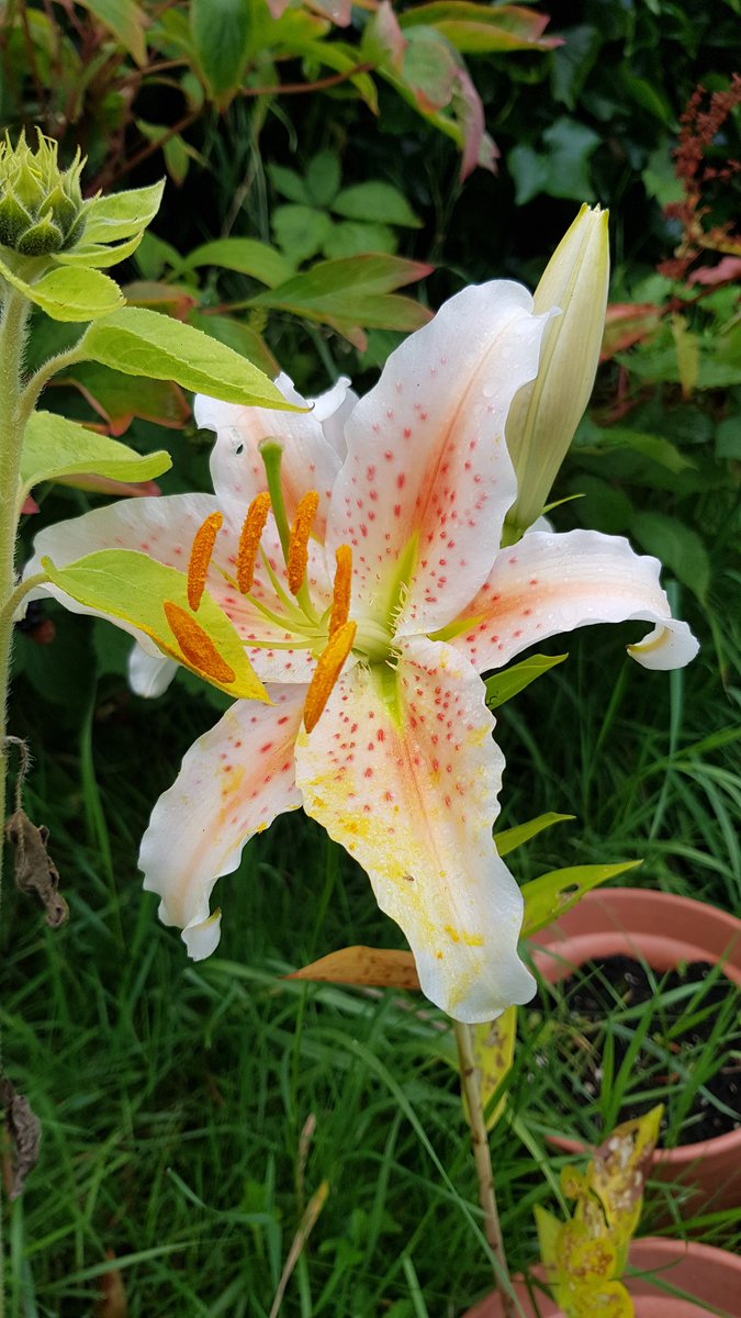 Jane Brant Blue Space tweet media