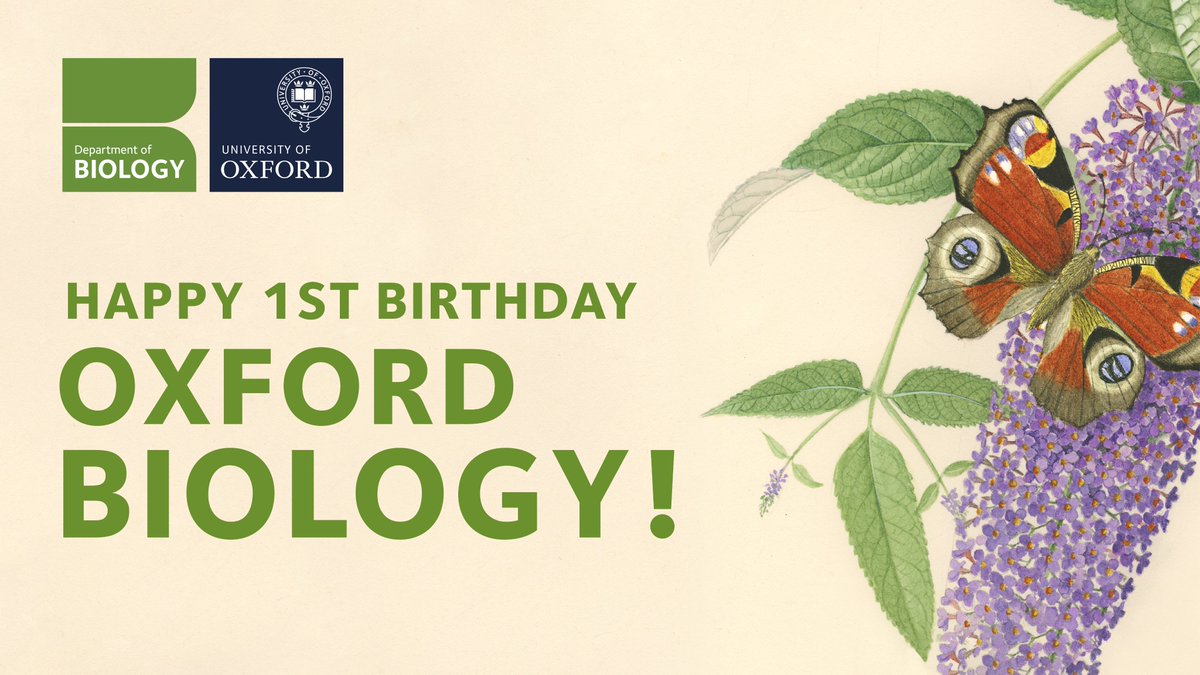 Bring out the cake because we are ONE YEAR OLD! 🥳

We launched a year ago today, unifying our two former departments to collaboratively explore the diversity of life on Earth 🌍

We've achieved so much together since, and can't wait to see what's still to come 💚